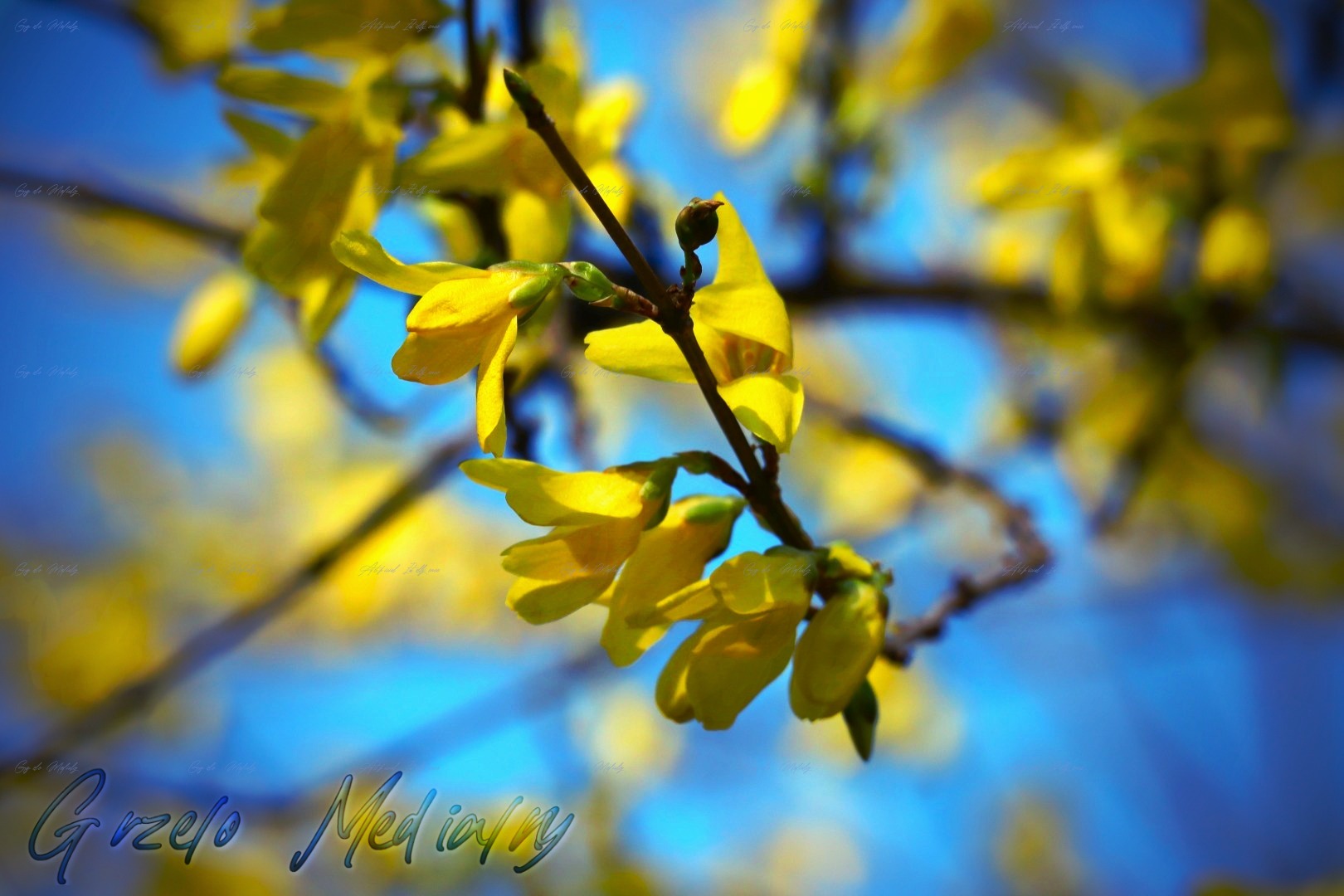 Ilustracja do wiersza - Światło i cień