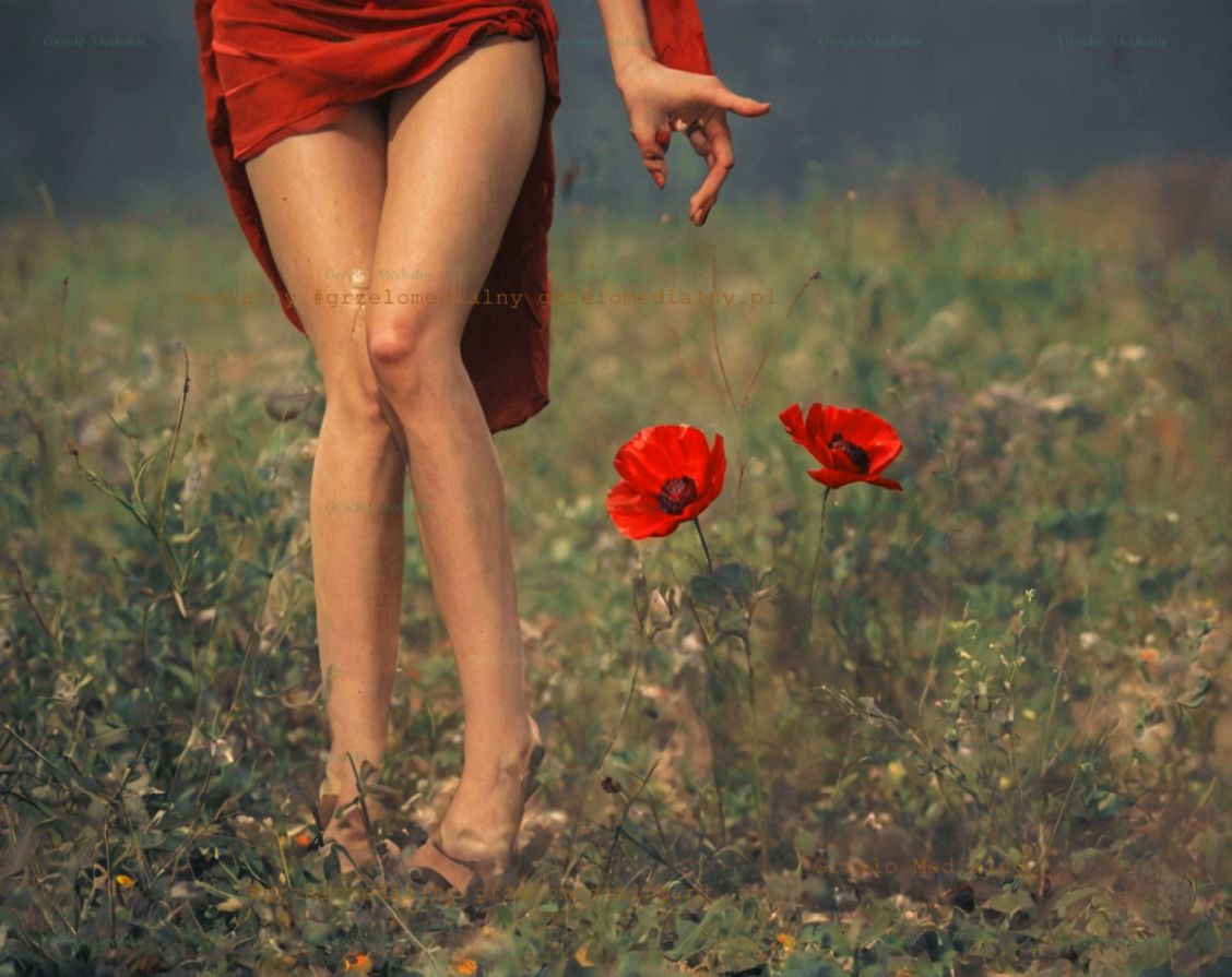 Ilustracja wiersza - Makowa Panienka